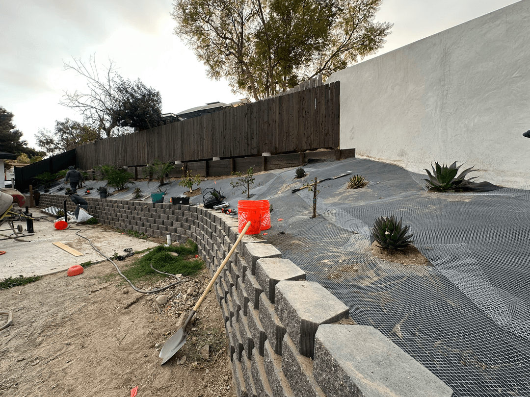 Backyard fence line area after trimming and leveling for landscape upgrade